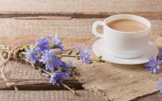 Цикорий растворимый — полезные свойства и противопоказания