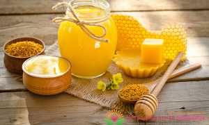 Медовые лекарства  — как лечить кашель продуктами пчеловодства