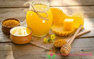 Медовые лекарства  — как лечить кашель продуктами пчеловодства