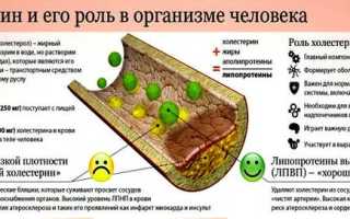 Как снизить холестерин в крови: обзор средств