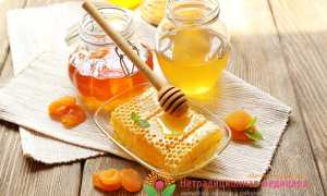 Лепешка с медом — простое и эффективное средство от кашля