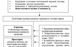 Предменструальный синдром