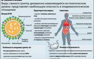 Свиной грипп (H1N1)