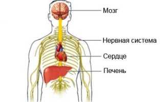 Белая горячка (алкогольный делирий)