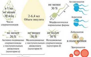 Маленькие яички