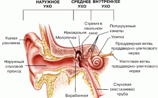 Отит