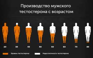 Как увеличить тестостерон в организме мужчины