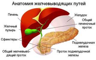 Дискинезия желчного пузыря