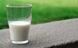 Целебное козье молоко — раскрываем все секреты вкусного напитка
