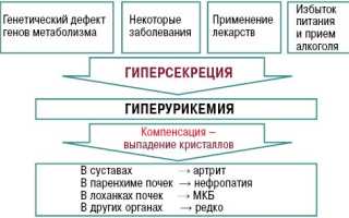 Гиперурикемия