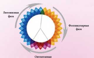 УЗИ молочных желез